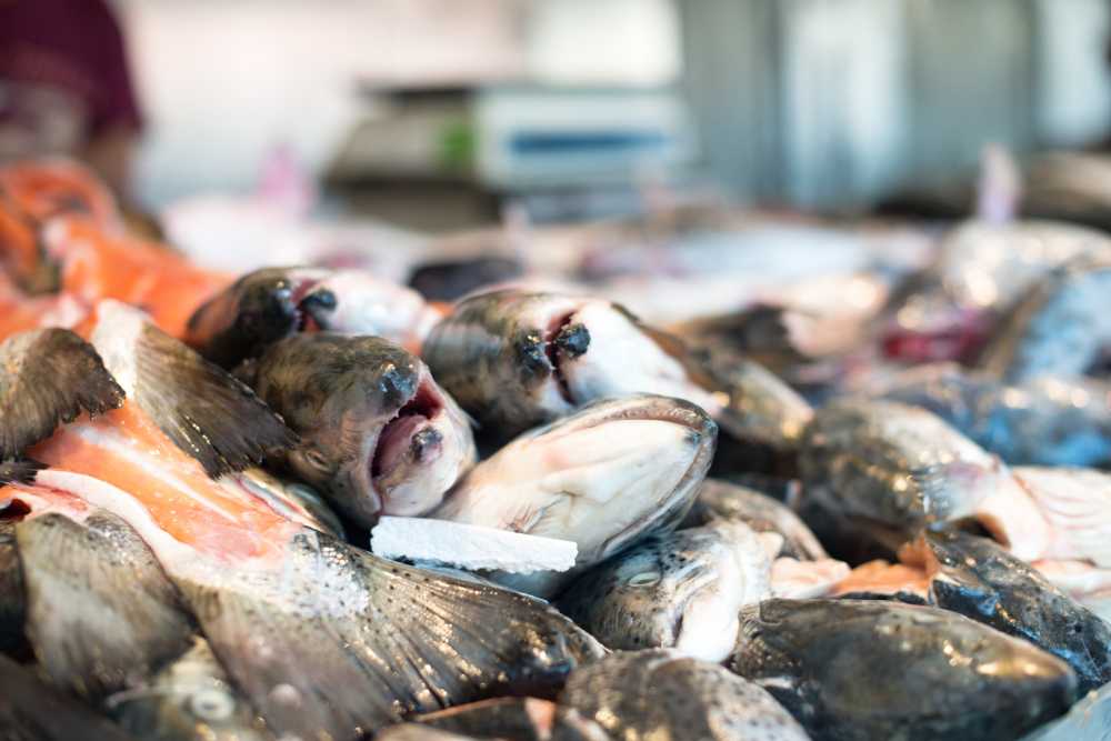 Mercado dos Peixes